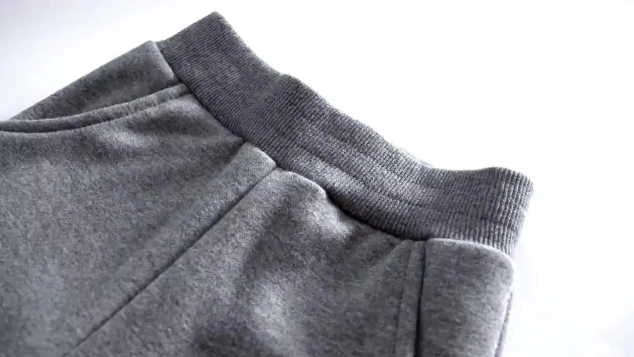 Dinosaur Embroidered Sweatpants